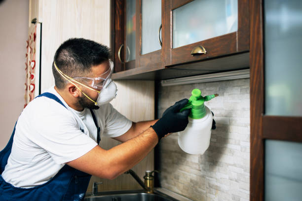 Best Commercial Pest Control Services  in Pratt, KS