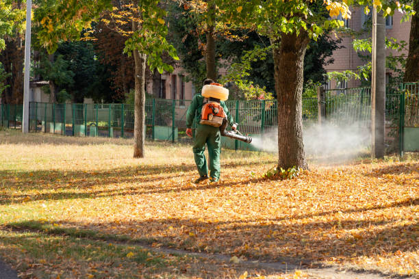 Best Pest Control Near Me in Pratt, KS